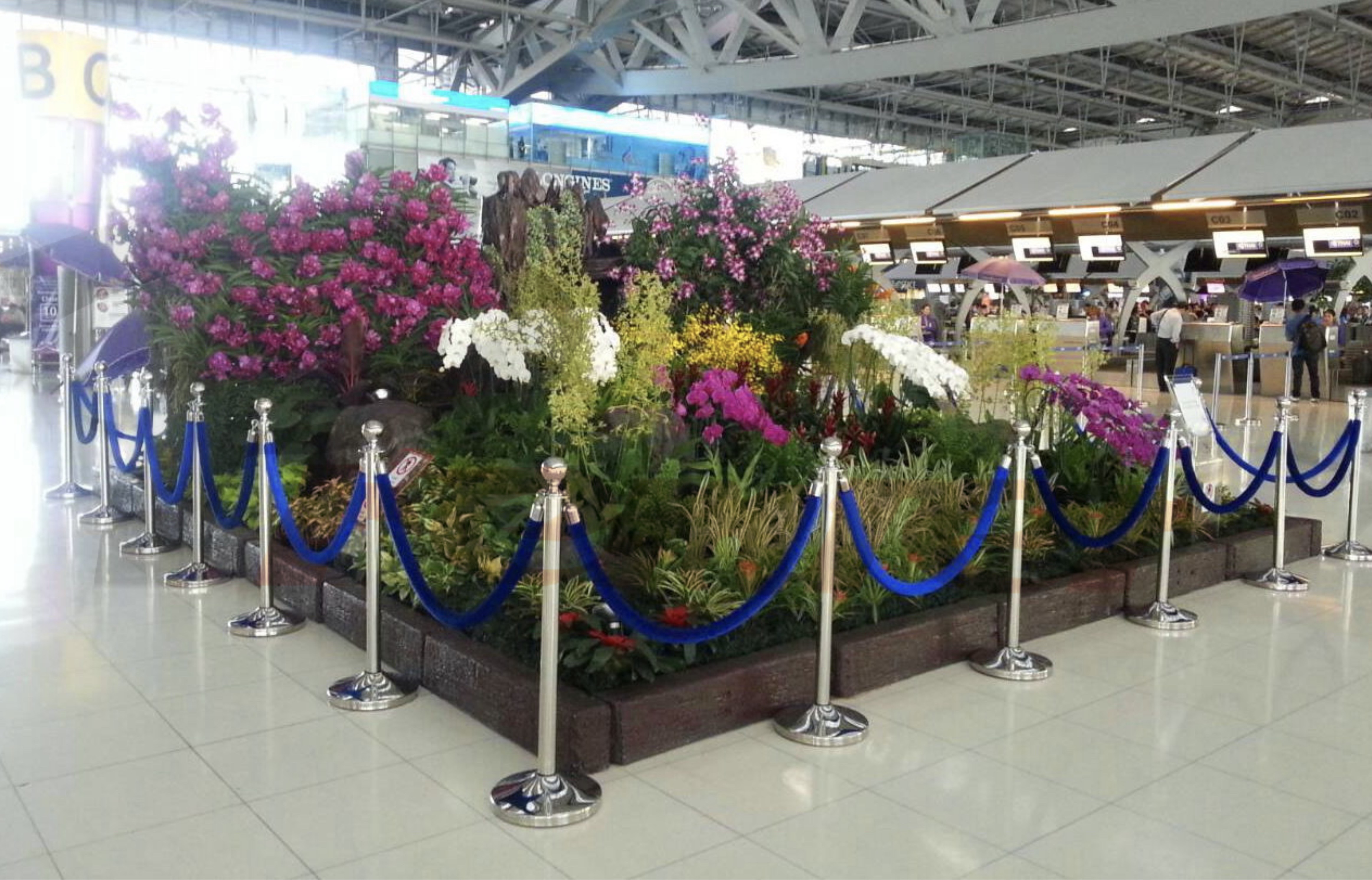 สินค้า 2-1